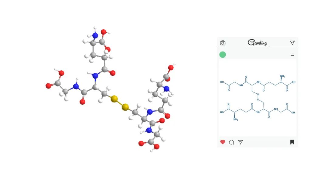 古特生物 古特生物