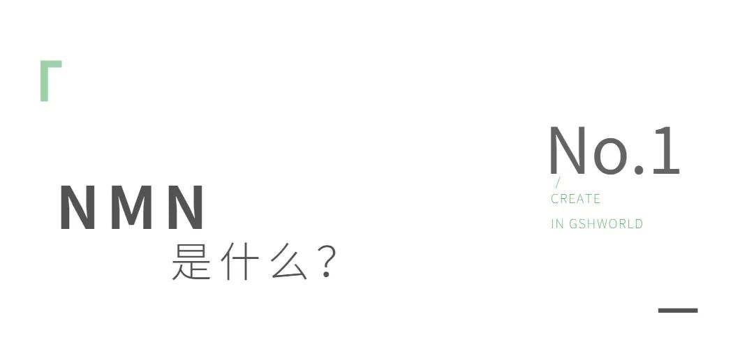 古特生物 古特生物