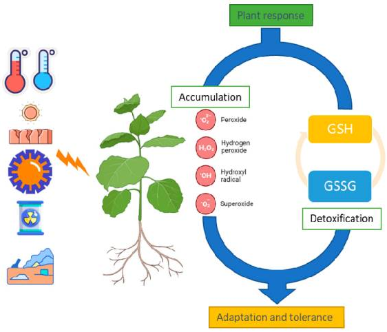 古特生物 古特生物