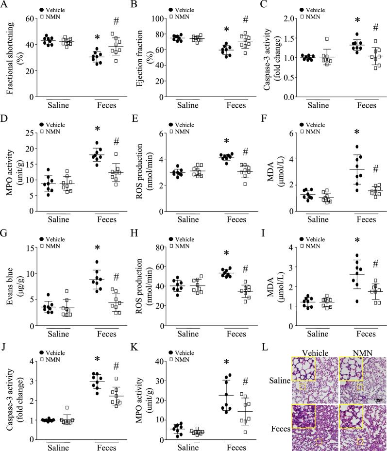 包含圖片、插圖等的外部文件。
對(duì)象名稱為 12967_2023_4767_Fig2_HTML.jpg