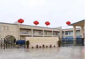 企業風貌 企業風貌