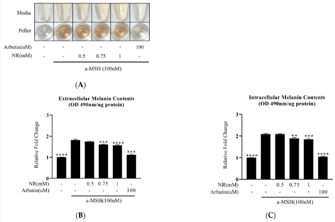 古特生物 NR最新研究結(jié)論