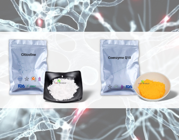 胞磷膽堿與輔酶Q10的神經保護機制