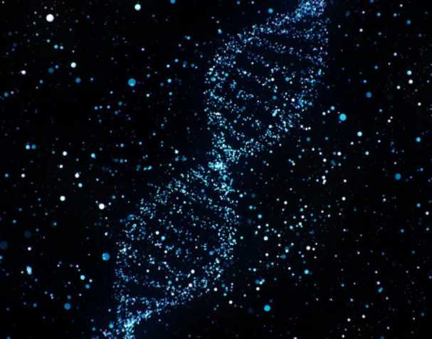 煙酰胺核糖氯化物有什么優勢？