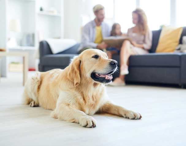 SAMe改善認(rèn)知功能