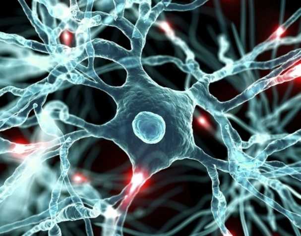 S-腺苷甲硫氨酸SAMe為心理健康帶來(lái)新可能