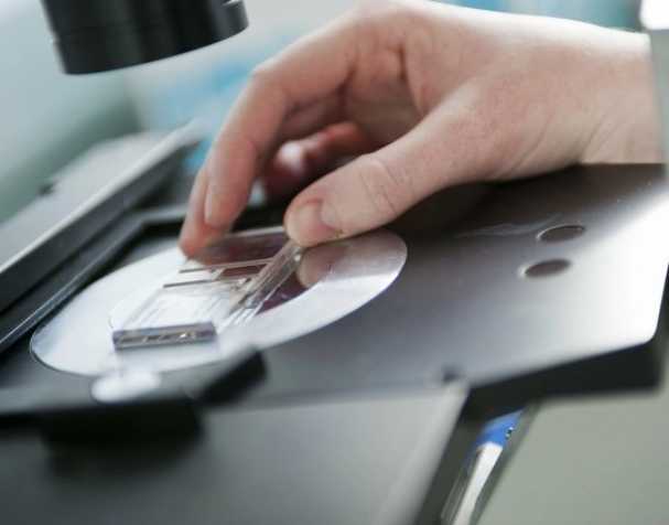 SAMe或成慢性結(jié)腸炎新希望？