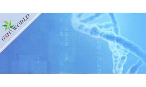 煙酰胺和nmn區別？煙酰胺單核苷酸(NMN) 的化合物