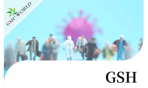 行業(yè)關(guān)注 - 增強(qiáng) GSH 可能是對(duì)抗新冠疾病的有效療法