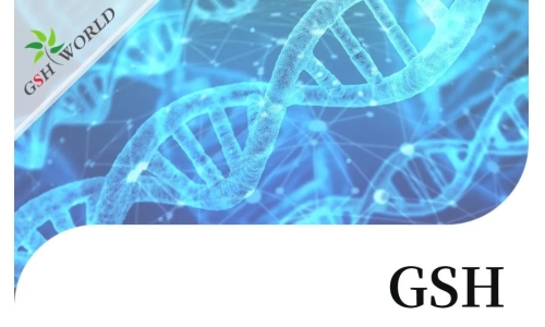 行業關注 - 谷胱甘肽結合幾種不同抗癌化療藥物的生物學作用