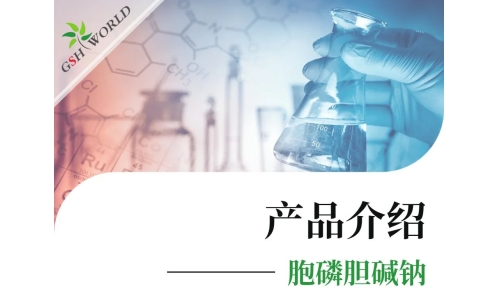 產品介紹 - 胞磷膽堿鈉——被廣泛應用的神經保護劑