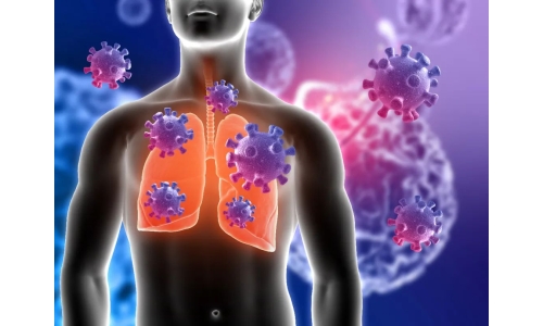 鐘南山：6月底將迎來二陽高峰！危害更大？NMN能有效抵御“二陽”！