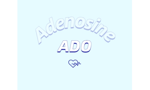 腺苷能促進睡眠嗎？