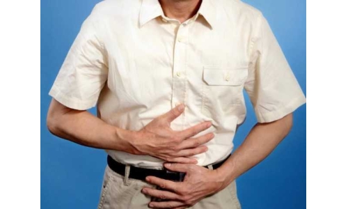 哪些成分對維護腸道健康有效？